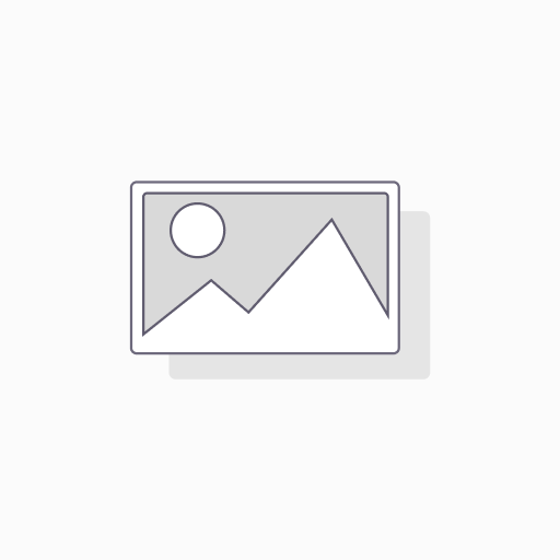 Webhosting - Jahresvertrag 